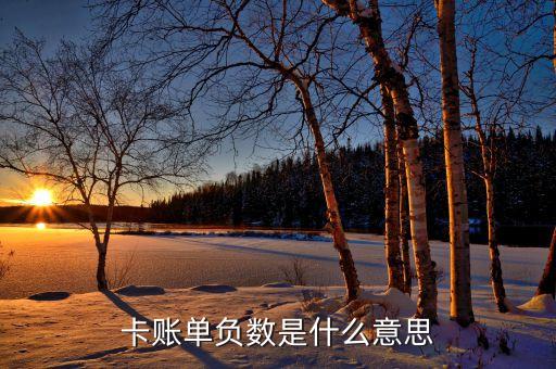 卡账单负数是什么意思