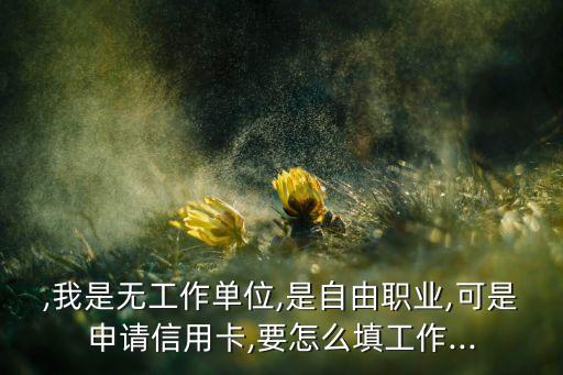 ,我是无工作单位,是自由职业,可是申请信用卡,要怎么填工作...