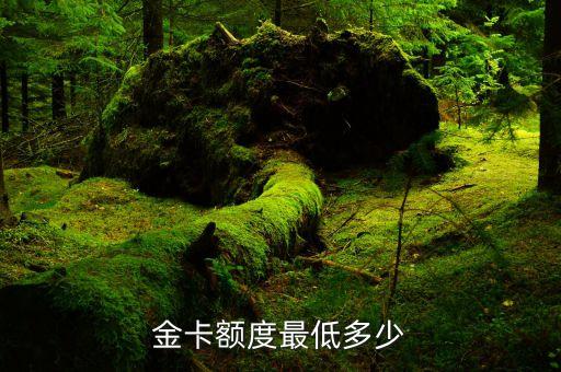 金卡额度最低多少
