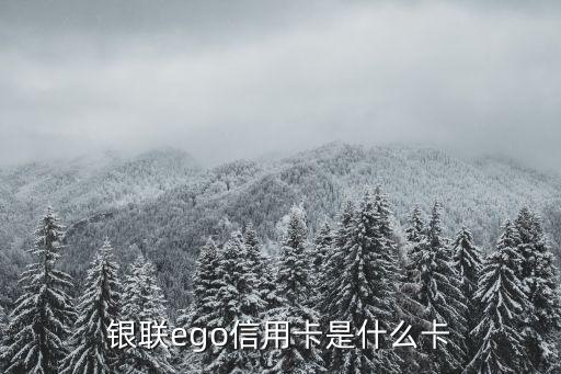 浦发的虚拟信用卡申请,无面签的虚拟信用卡