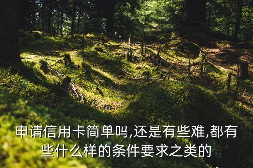 申请信用卡简单吗,还是有些难,都有些什么样的条件要求之类的