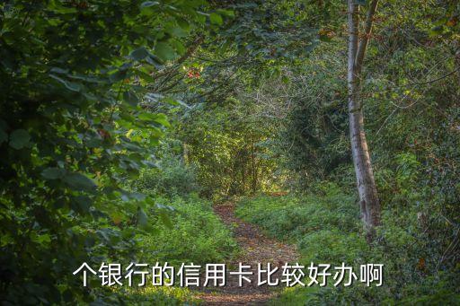 个银行的信用卡比较好办啊