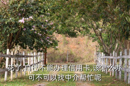 花了,自己不能办理信用卡,该怎么办可不可以找中介帮忙呢