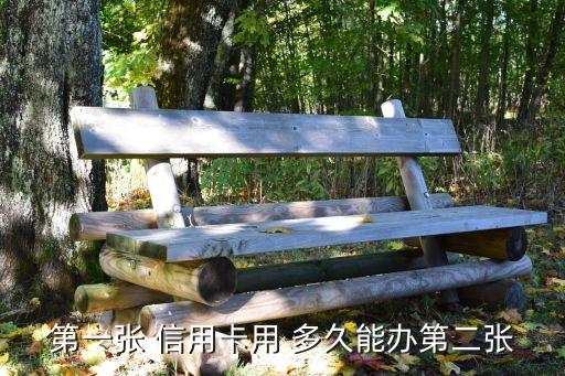 第一张 信用卡用 多久能办第二张