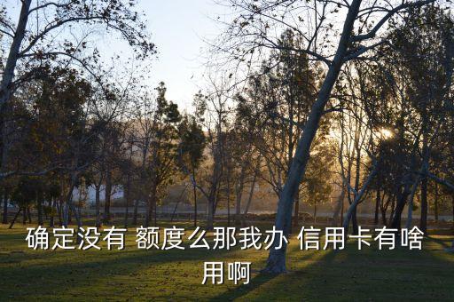 确定没有 额度么那我办 信用卡有啥用啊