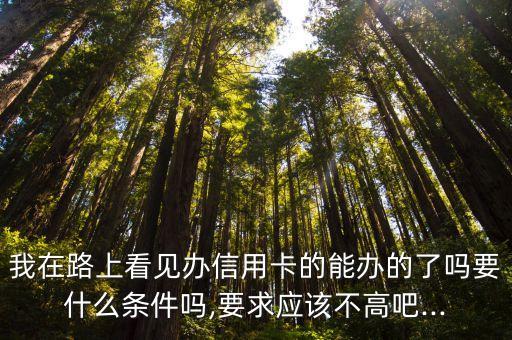 我在路上看见办信用卡的能办的了吗要什么条件吗,要求应该不高吧...