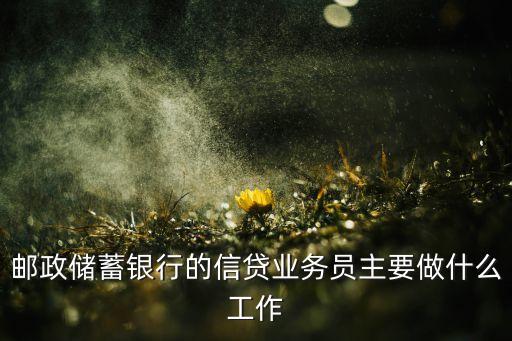 邮政储蓄银行的信贷业务员主要做什么工作