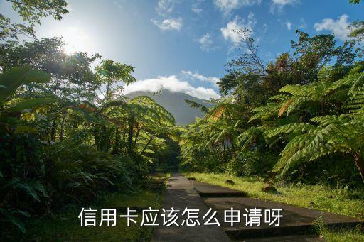信用卡应该怎么申请呀