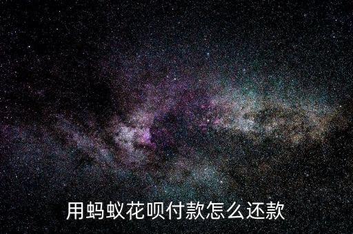 用蚂蚁花呗付款怎么还款