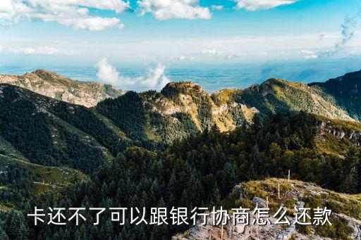 卡还不了可以跟银行协商怎么还款