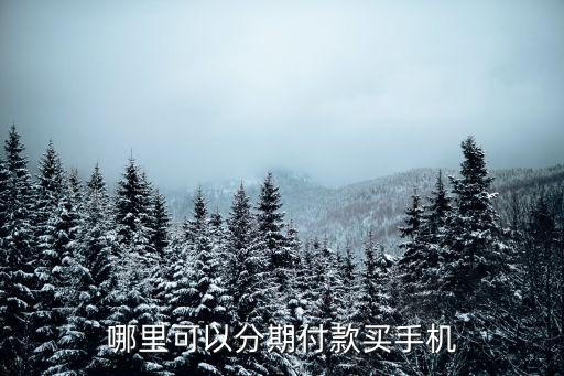 哪里可以分期付款买手机