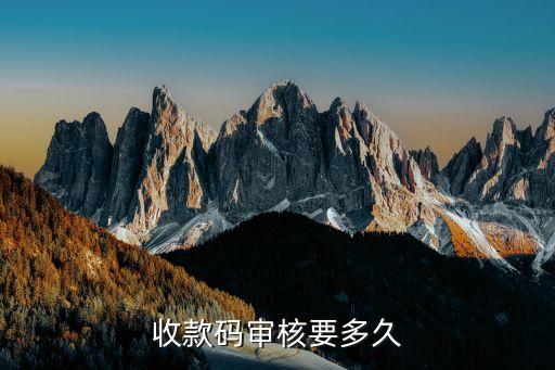 收款码审核要多久