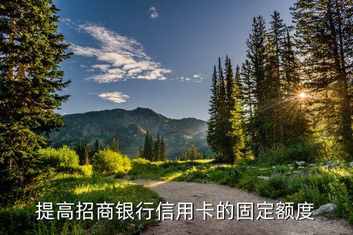 提高招商银行信用卡的固定额度