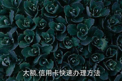 大额 信用卡快速办理方法