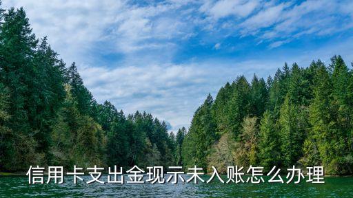 信用卡支出金现示未入账怎么办理