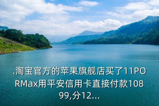 .淘宝官方的苹果旗舰店买了11PORMax用平安信用卡直接付款10899,分12...