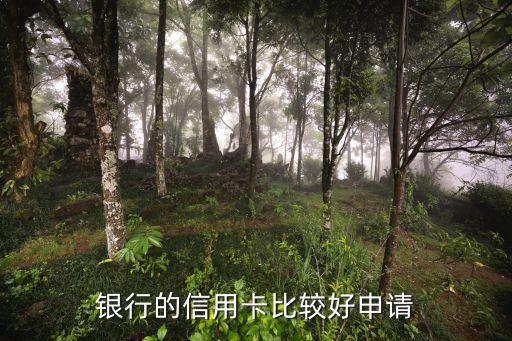 银行的信用卡比较好申请