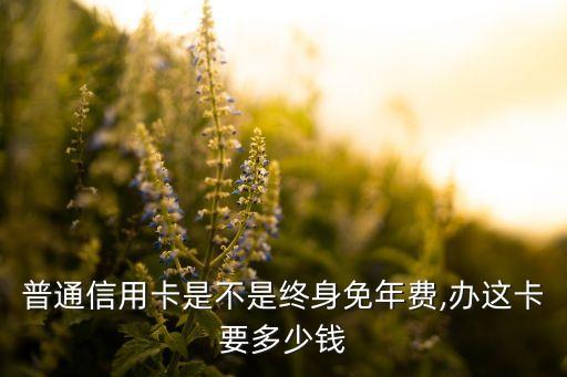 邮政银行信用卡普卡权益,中国邮政普卡信用卡
