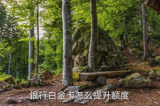 银行白金卡怎么提升额度