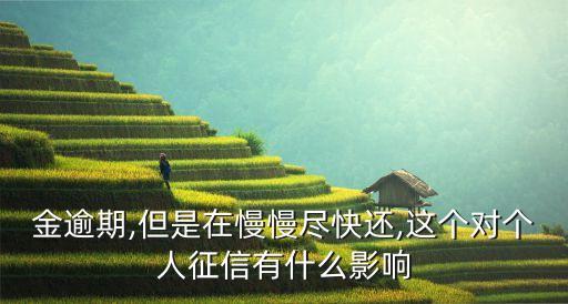 金逾期,但是在慢慢尽快还,这个对个人征信有什么影响