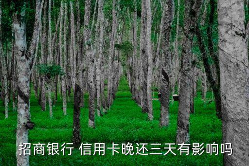 招商银行 信用卡晚还三天有影响吗