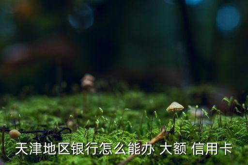 怎么在网上申请大额信用卡,网上申请信用卡哪个银行容易通过