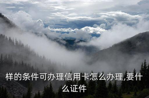 样的条件可办理信用卡怎么办理,要什么证件