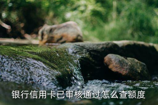 银行信用卡已审核通过怎么查额度