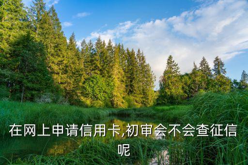 在网上申请信用卡,初审会不会查征信呢