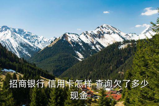 招商银行 信用卡怎样 查询欠了多少现金