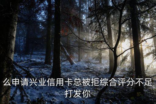 么申请兴业信用卡总被拒综合评分不足打发你