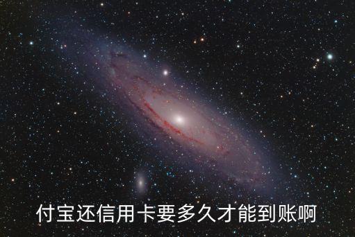 付宝还信用卡要多久才能到账啊
