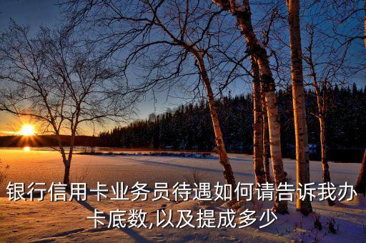 银行信用卡业务员待遇如何请告诉我办卡底数,以及提成多少