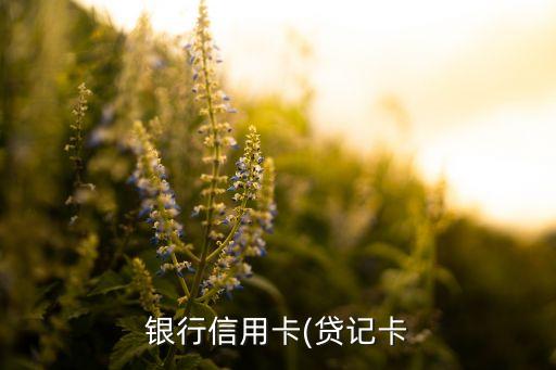 银行信用卡(贷记卡