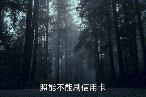 照能不能刷信用卡
