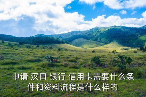 申请 汉口 银行 信用卡需要什么条件和资料流程是什么样的