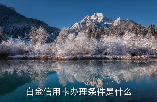 白金信用卡办理条件是什么