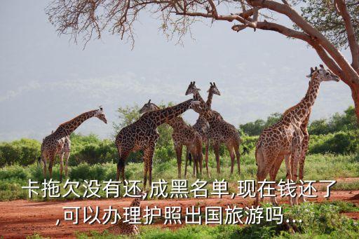 出境游信用卡怎么还款,信用卡怎么还款