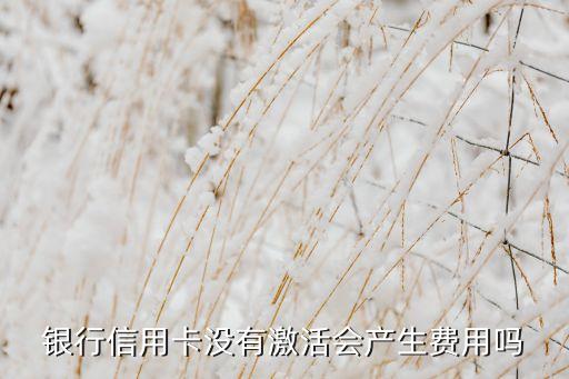 银行信用卡没有激活会产生费用吗