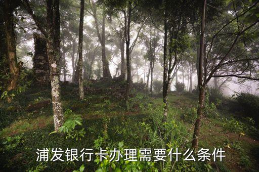  浦发银行卡办理需要什么条件