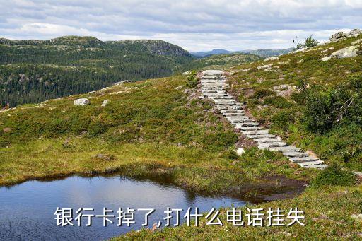 银行卡掉了,打什么电话挂失