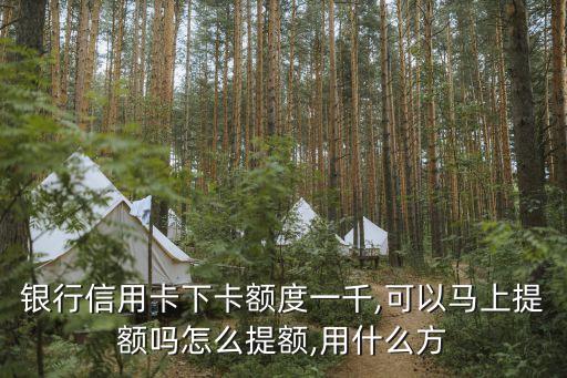 工商银行信用卡下卡大额度,中国工商银行大额信用卡