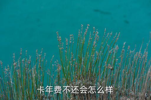 卡年费不还会怎么样