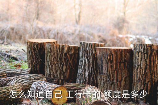 工行客服查信用卡额度,工行信用卡开户成功后多久能查额度