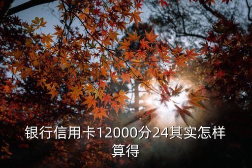 银行信用卡12000分24其实怎样算得