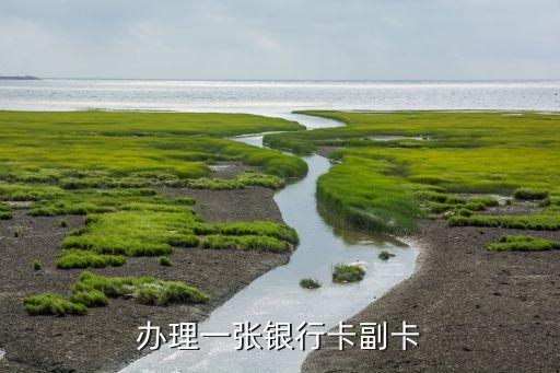办理一张银行卡副卡