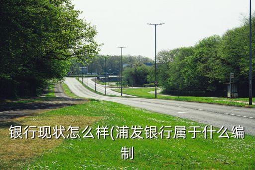 银行现状怎么样(浦发银行属于什么编制