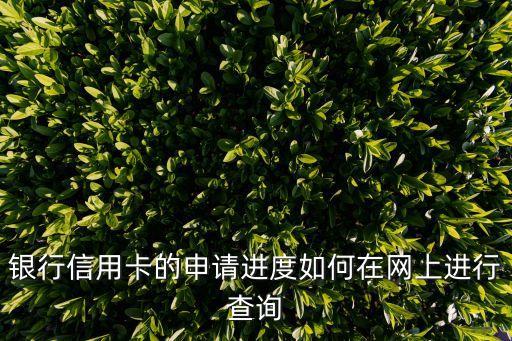 银行信用卡的申请进度如何在网上进行查询