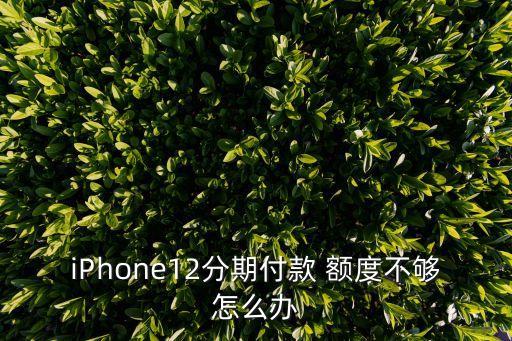 iPhone12分期付款 额度不够怎么办