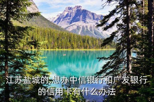 江苏盐城的,想办中信银行和广发银行的信用卡有什么办法
